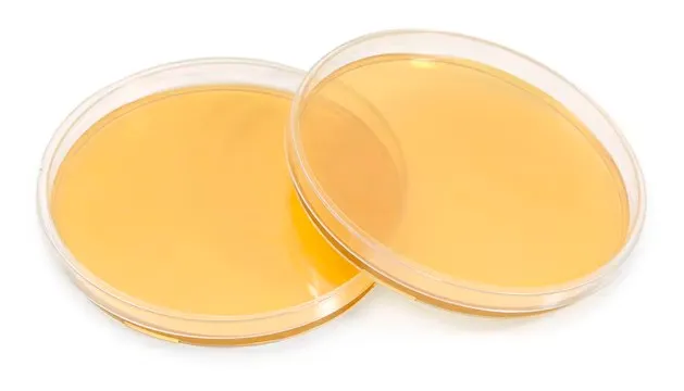 PCR Tubes and Strips