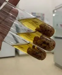Cooked Meat Medium